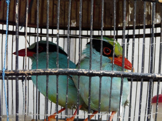 anton3.jpg anton3.jpg