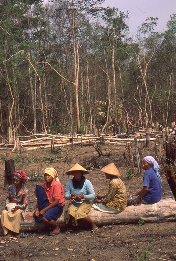 elmhirst3.jpg elmhirst3.jpg